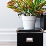 Soluciones de almacenamiento para una casa organizada