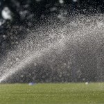 12 consejos para regar tu jardín (Parte 2)
