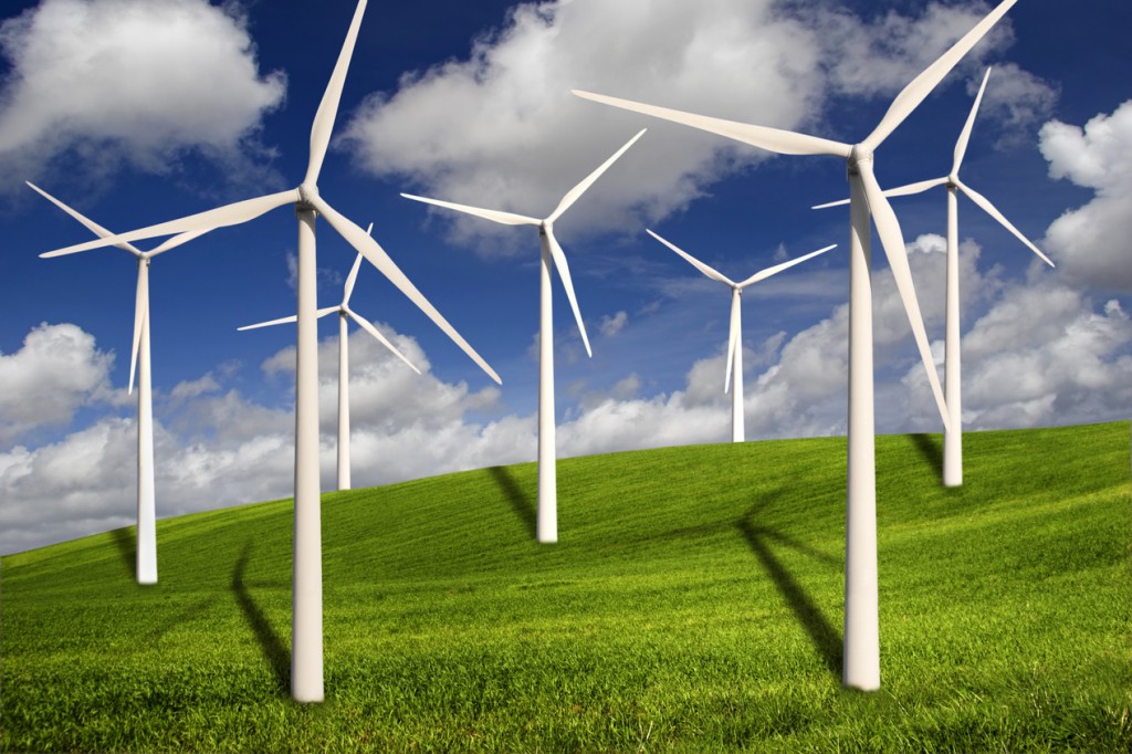 Medio ambiente