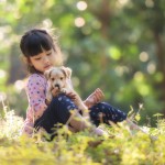 4 razas de perros ideales para niños