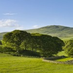 5 espléndidas casas de campo en el extranjero