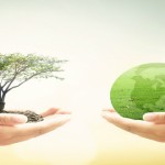 El financiamento para proyectos verdes