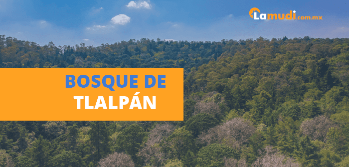 bosque de tlalpan