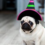 Halloween en casa y casero con tus propios adornos