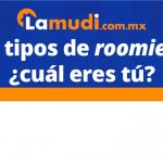 ¿CUÁL DE ESTOS 7 TIPOS DE ROOMMATES ERES?