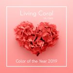 La dulzura y simpatía del Coral