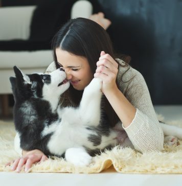 6 colonias pet friendly en la CDMX departamentos pet friendly