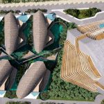 Shark Tower preserva la vida de los tiburones