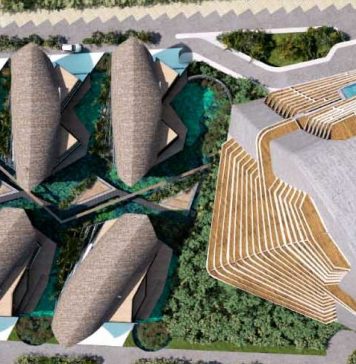 Shark Tower preserva la vida de los tiburones