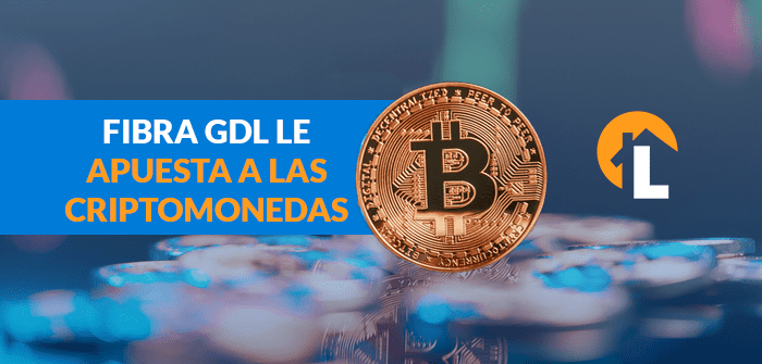 Fibra GDL