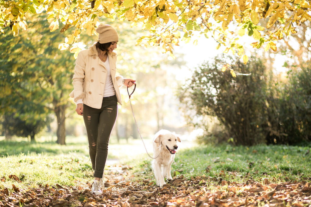 5 lugares para caminar un domingo en Coyoacán