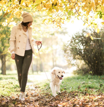 5 lugares para caminar un domingo en Coyoacán 5 lugares para caminar un domingo en Coyoacán