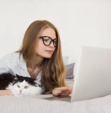 Cómo rentar un departamento si no cuentas con aval Cómo rentar un departamento si no cuentas con aval - Lamudi