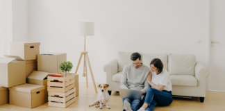 Rentar por menos de $20,000: las opciones de CDMX en 2024 Rentar por menos de $20,000: las opciones de CDMX en 2024 - Lamudi