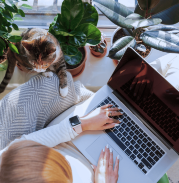 ¿Cómo proteger tus derechos como inquilino en México? ¿Cómo proteger tus derechos como inquilino en México?