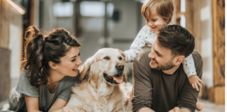 5 colonias para comprar departamento en Benito Juárez 5 colonias para comprar departamento en Benito Juárez