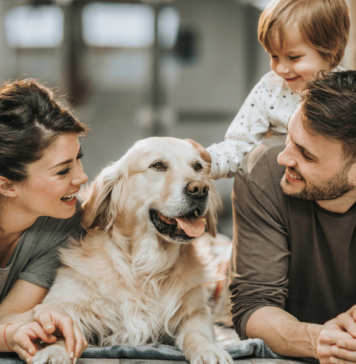 5 colonias para comprar departamento en Benito Juárez 5 colonias para comprar departamento en Benito Juárez