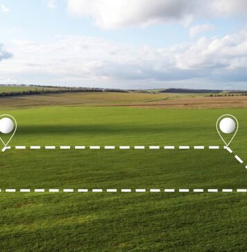 El ABC del suelo en México: Guía Práctica para entender los usos de terrenos Guía Práctica para entender los usos de terrenos - Foto Freepik