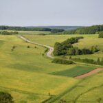 Todo lo que necesitas saber sobre el uso de suelo en México: Tu guía completa para entender permisos y licencias lo que necesitas saber sobre el uso de suelo en México - Foto Freepik