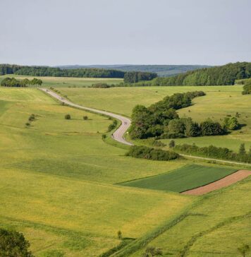 Todo lo que necesitas saber sobre el uso de suelo en México: Tu guía completa para entender permisos y licencias lo que necesitas saber sobre el uso de suelo en México - Foto Freepik