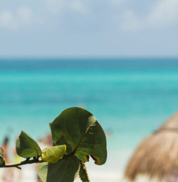 Chainway C72 Handheld Mobile Computer untuk Operasional Industri