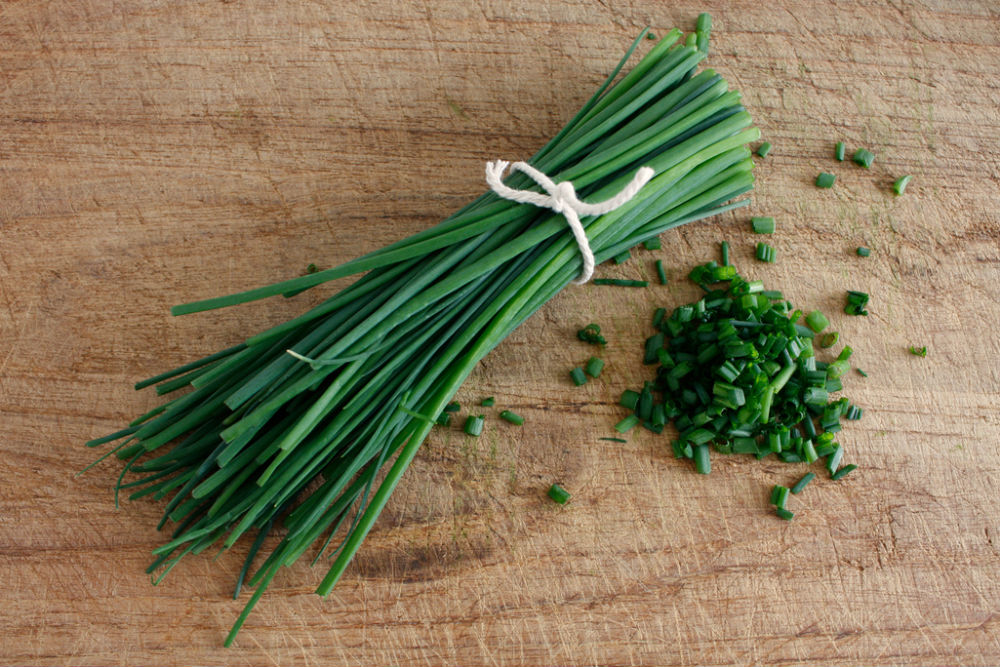vegetal