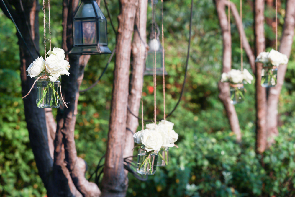 Rosas blancas