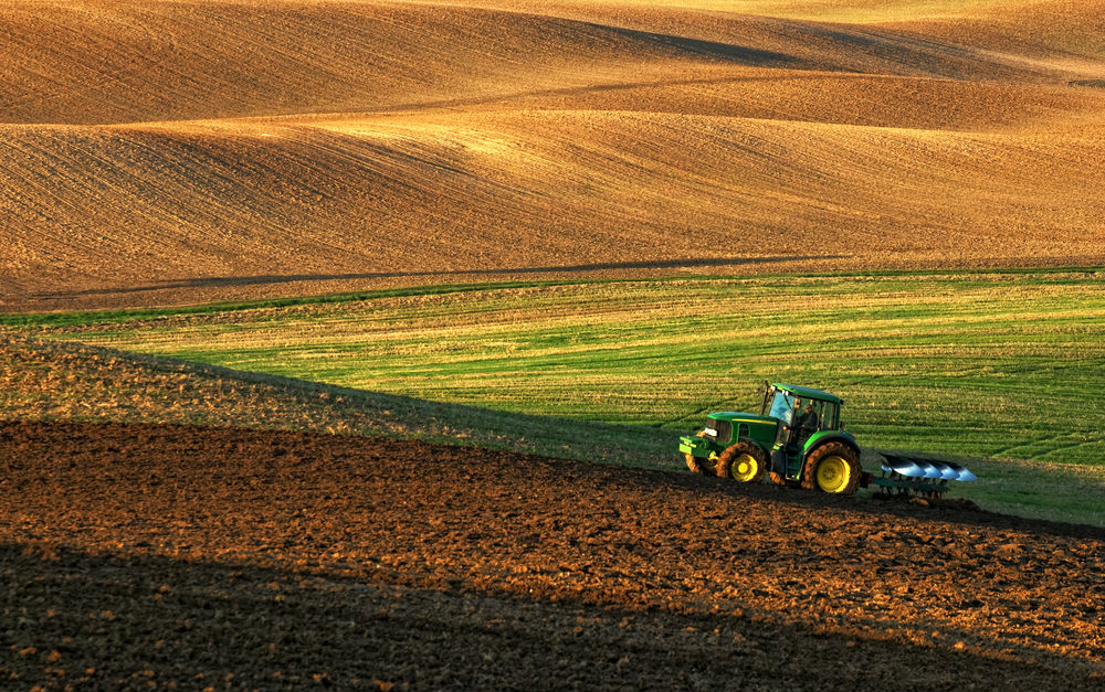 Agronomía