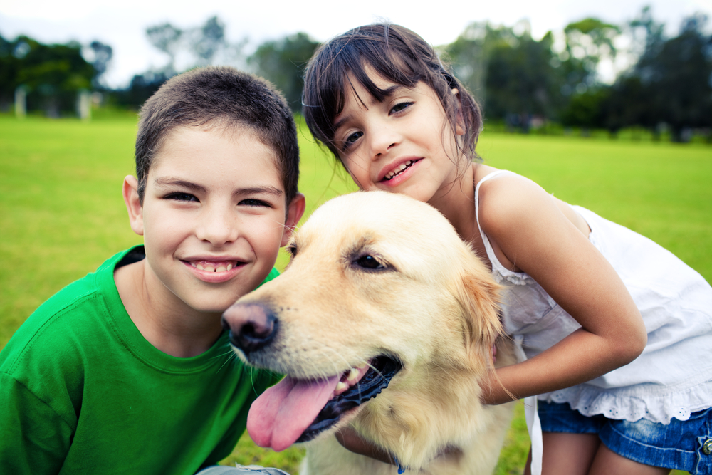 Perros ideales para niños