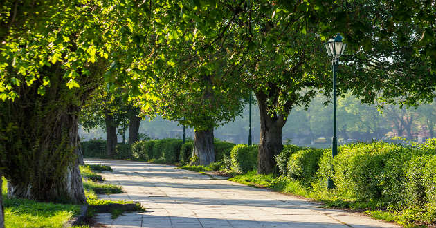 © Shutterstock