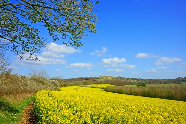 © PJ photography / Shutterstock.com