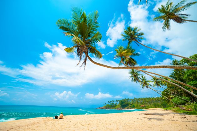 © Anton Gvozdikov / Shutterstock.com