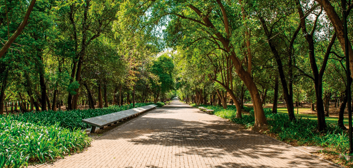 parques en la cdmx