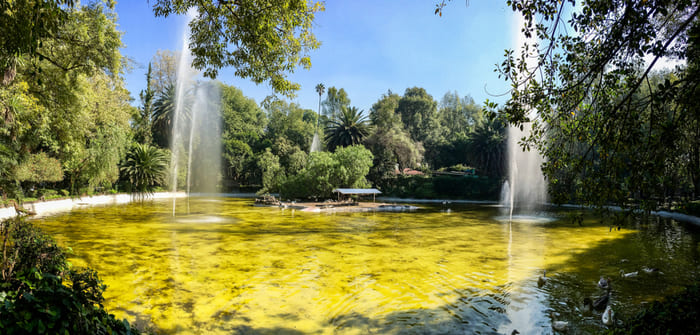 parques más bonitos cdmx