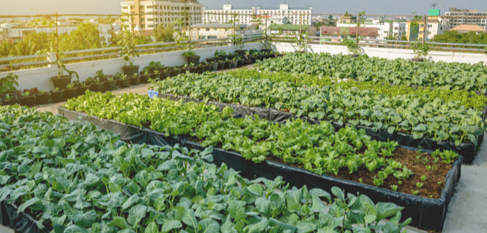 ecotecnologías del hogar