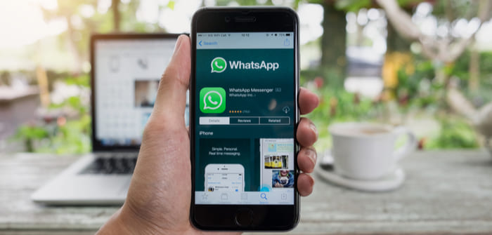 whatsapp business