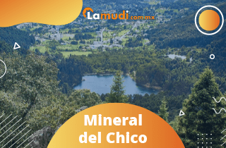 Mineral del chico