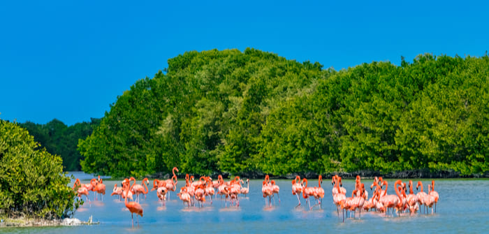 Celestún, Yucatán.