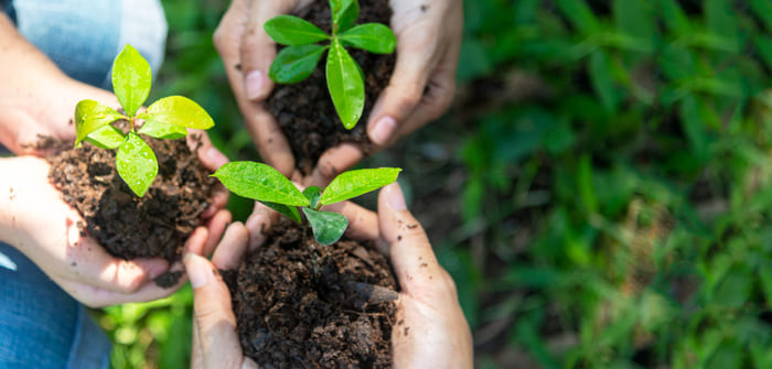 Educación ambiental